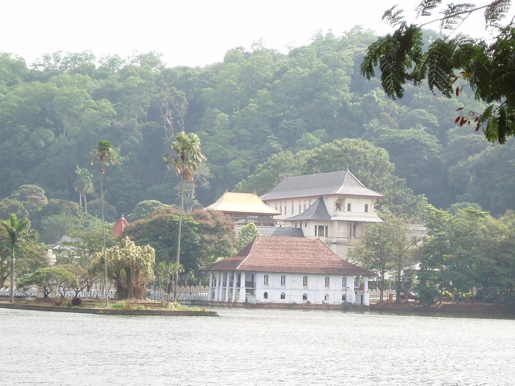 Strathisla Tea Estate Bungalow Matale Zewnętrze zdjęcie