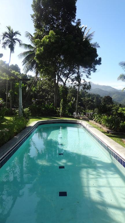 Strathisla Tea Estate Bungalow Matale Zewnętrze zdjęcie