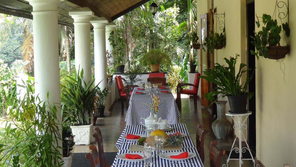 Strathisla Tea Estate Bungalow Matale Zewnętrze zdjęcie