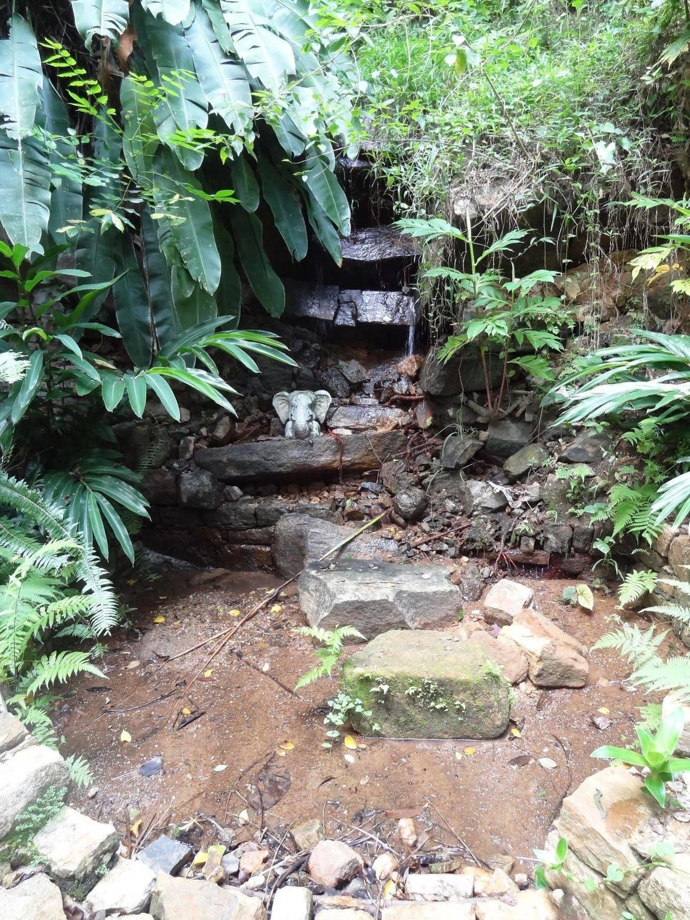 Strathisla Tea Estate Bungalow Matale Zewnętrze zdjęcie