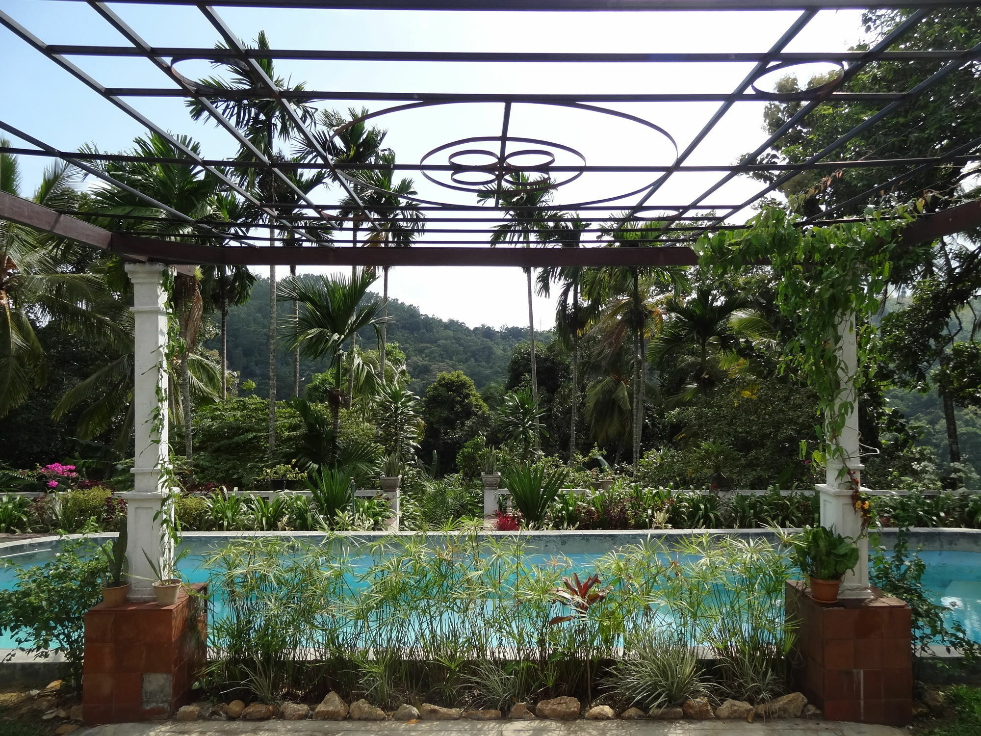 Strathisla Tea Estate Bungalow Matale Zewnętrze zdjęcie